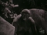 "The Monkey Man".