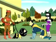 Foxxy and Hero with their new partners.