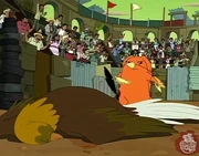 Ling-Ling cockfighting.