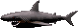Image:SharkSprite.gif