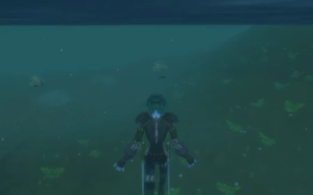 Watching the turtles swim by
