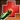 This monster has been known to use Noxious attacks