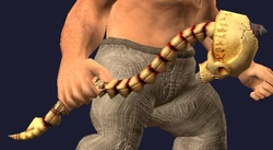 Randomly chosen image