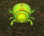 Race: Beetle - to upload a more specific image, click here