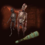 Lore & Legend: Zombie