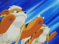 Archivo:EP054_Growlithe_de_la_Oficial_Jenny.PNG