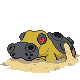 Imagen de Hippowdon macho en Pokémon Platino