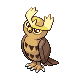 Imagen de Noctowl macho o hembra en Pokémon Diamante y Perla