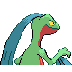 Grovyle