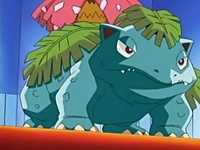 Venusaur de Jeremy