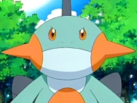 Marshtomp de Brock
