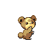 Imagen de Teddiursa macho o hembra en Pokémon Diamante y Perla