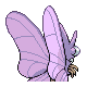 Venomoth