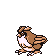 pidgeot