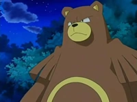 Ursaring Paul/Polo