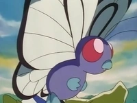 Butterfree de Ash