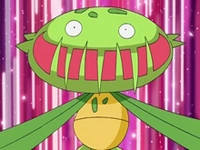 Carnivine de James