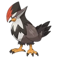 Staraptor