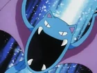 Golbat de Koga