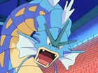 Gyarados de Mananti