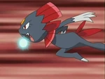 Weavile de Paul/Polo generando rayo hielo