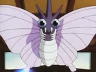 Venomoth de Koga