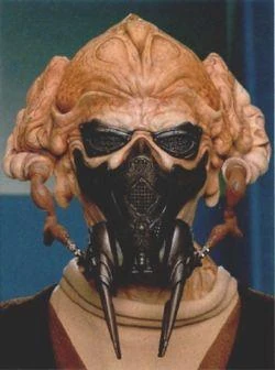 Imagen:Plo_Koon.JPG
