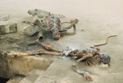 Los restos carbonizados de Owen y Beru Lars.