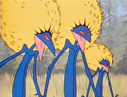 Guerreros Dandelion