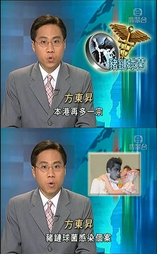 Image:Pig.jpg