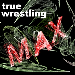 Image:Truewrestlingmax.png
