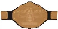 Image of WSX Undisputed Championship