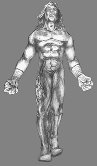 Image of High Flyer
