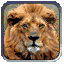 Image:Lion.gif