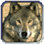 Image:Wolf.gif