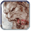 Image:Ravenous werewolf.gif
