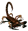 Radscorpion