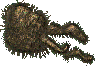 File:Xander.gif