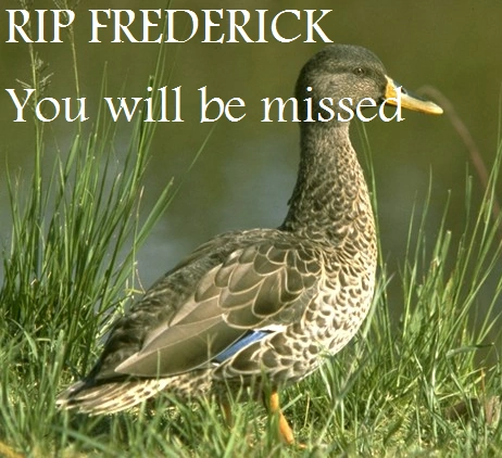 File:RIPFrederick.png