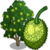 File:Breadfruit Tree-icon.png
