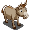 Image:Donkey-icon.png