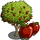 Apple Tree