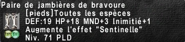 Image:Jambières de bravoure.PNG