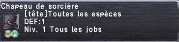 Chapeau de sorcière
