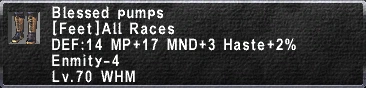 Blessed Pumps