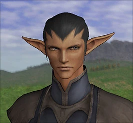 Elvaan