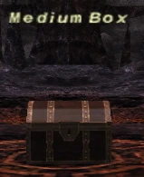 Medium Box