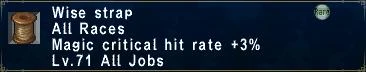 File:Wise strap.JPG