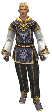 Noble's Attire