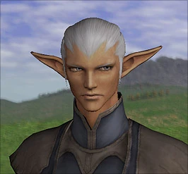 Elvaan